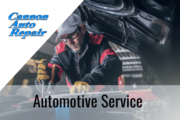 automotive service cannon falls mn