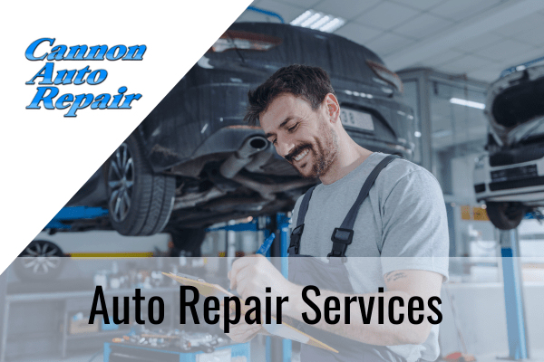 auto repair services cannon falls mn